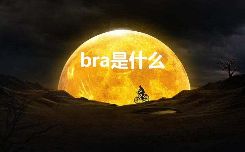bra是什么（Bra是什么意思）